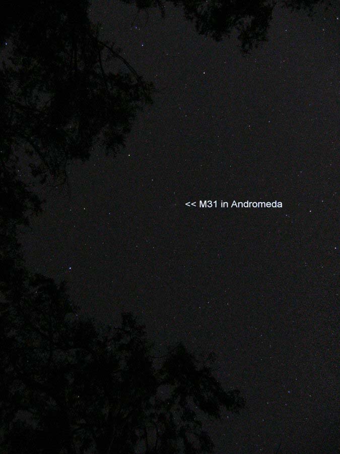 M31 in Andromeda