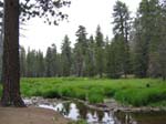IMG_7675_050720_114910