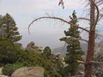 IMG_7678_050720_121450