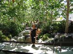 IMG_0974_060826_115032