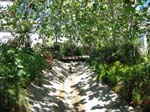 IMG_0975_060826_115320