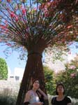 IMG_0979_060826_115604