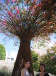 IMG_0980_060826_115612
