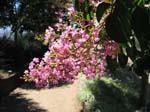 IMG_0983_060826_115928