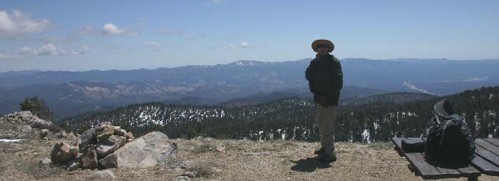 Mt. Pinos: from Condor Observation Lookout facing South.