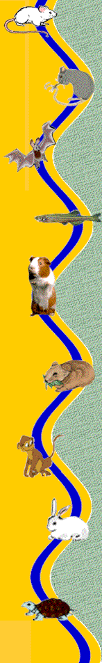 leftbanner.gif (4448 bytes)