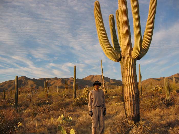 2006-04-07: 14 miles north-west of downtown Tucson, in the Saguaro National Park (West), facing East. I'm standing next to a typical Saguaro cactus. These cactus can live up to 200 years.