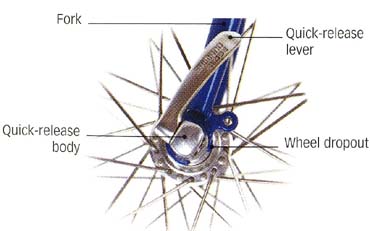Parts of the quick-release system: Fork, Quick-release lever, Quick-release body, Wheel dropout