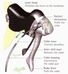 Lever hood: Attaches the levers to the handlebar; Cable inner: Controls derailleur; Inner shift lever: Releases the cable; Cable housing Counteracts the cable pull; Brake lever: Pulls the cable; Ratchet mechanism: Holds the cable