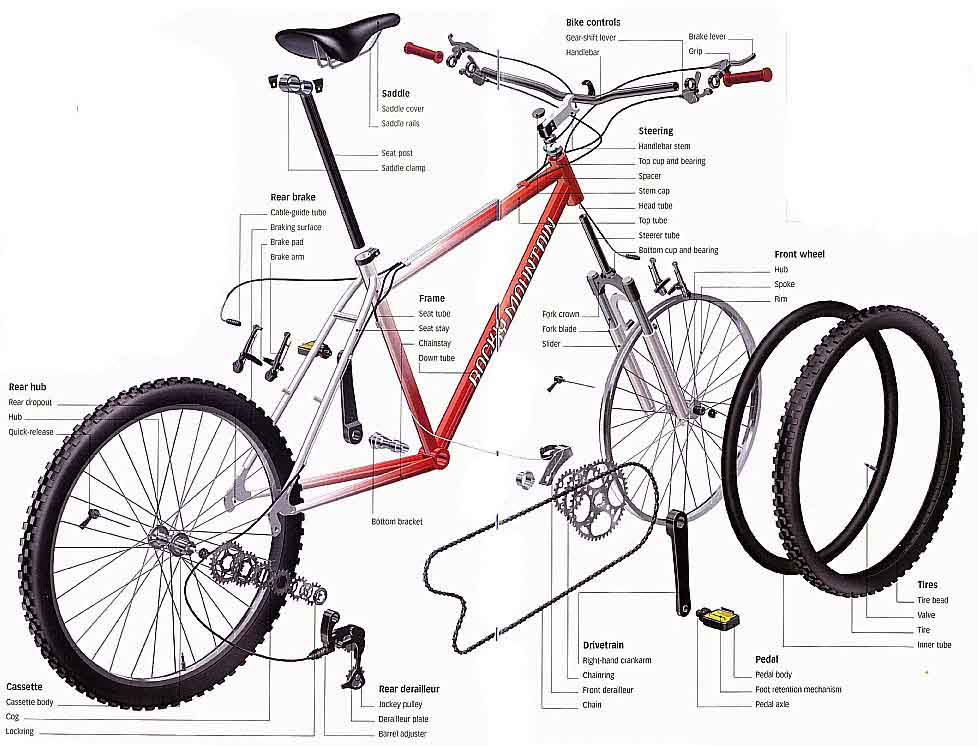 Bicycle anatomy