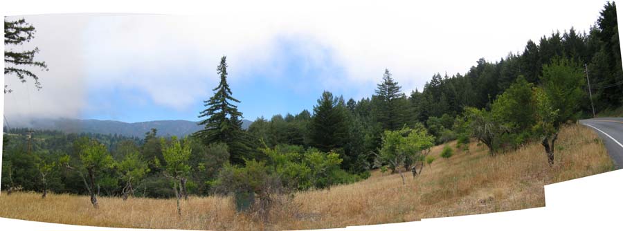 image: 2004-06-30: Panoramic view from the corner of San Jose Soquel Road (right) and Miller Hill Cutoff (behind camera) in Los Gatos, California. The camera is facing east. This panorma is comprised of five (5) separate
images stitched together in Pano Tools Assembler and, then, touched up
in Adobe Photoshop Elements